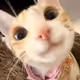 fgjhfgjfgj