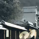 SakuraLang