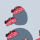 dsdsry