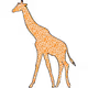 cs_giraffe