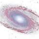 B020855