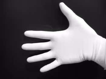 OpenSea profile picture for @Gloves