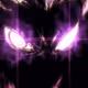 WarpZr