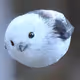 KaelenStormrider