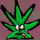 CannaBiss420
