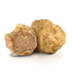 therealtrufflehunter_vault