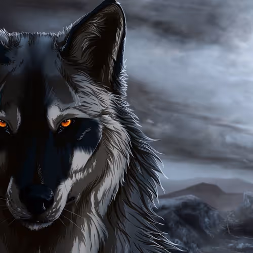 OpenSea profile picture for @Lykan