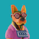 Egor12_212