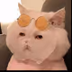 Dusti-