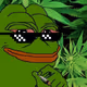 Naeve