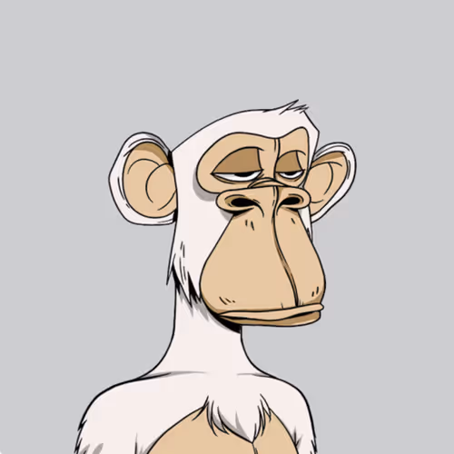 OpenSea profile picture for @pariz