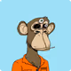 Franeo_vault