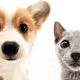 3b1401B2B62B56B648e151fe2B16b