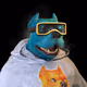BowssZeezo
