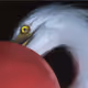 0xb1478f4447f9d96b628a542f342e4b50aa2b5458