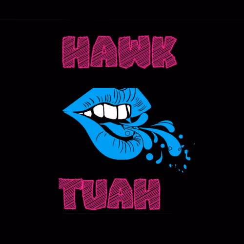 OpenSea profile picture for @HawkTuah