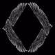 notpixl
