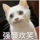renkiki
