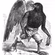 Malphas
