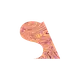 0xb18c5a24a4a6afaec5d9190284b38747fce42264