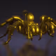 GiulioDavide