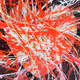 0xb19ccc17092f554a332eb73500bc9ab12bbfd95b