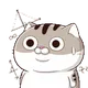 FoxyClub