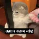 Ranabappy