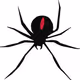 RedbackSpydr