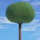 NotFullyTerrestrial