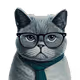 Catboy11