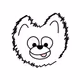 JackyDog