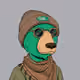 gnomad_bear