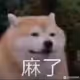 Hashiromo