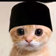 Buddy_