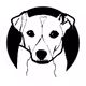 ZoZeus