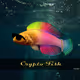 Crypto_Fish_Foundation