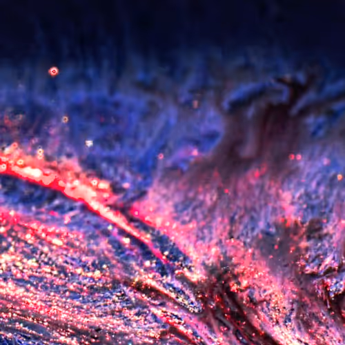 OpenSea banner for @Cycle