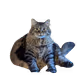 80_
