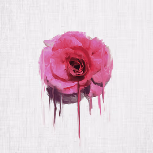 OpenSea profile picture for @Roses