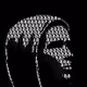 0xRoronoaZoro