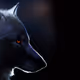 lonewolf10