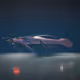 wilder_worlds4