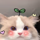 tinetinee