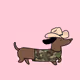 dogspenguin