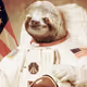 SneakySloth
