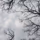 Zen_