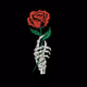 ExilicRose