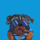 nft_noob_88