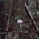 0xb41c68d040a31eb6b8c628fb9156b24b8ace9664